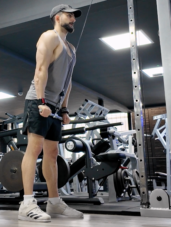 Arms